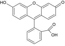 CHE1700 Chemistry Practical 1 Coursework Figure 1